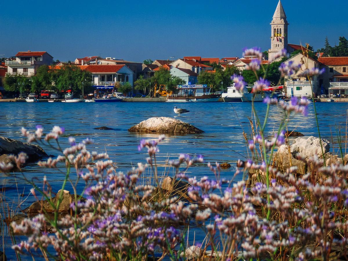 Villa Ljubica ปาโกชตาเน ภายนอก รูปภาพ